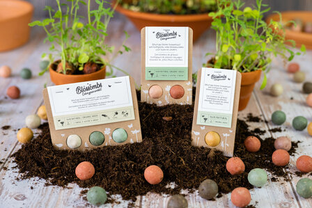Blossombs Blister 1 &ndash; Cadeaubommetje met 1 Blossomb