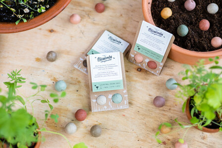 Blossombs Blister 2 &ndash; Cadeaubommetjes met 2 Blossombs