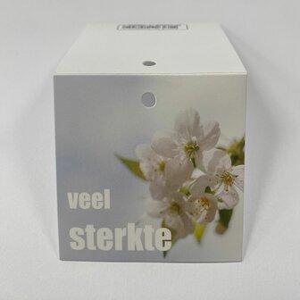 Veel sterkte - Rome