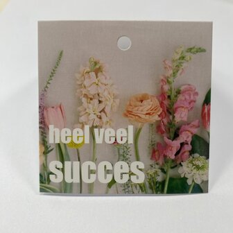 Heel veel succes - Rome