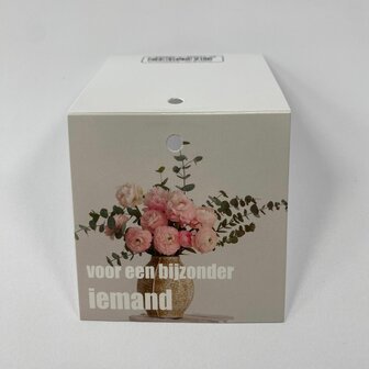 Voor een bijzonder iemand - Rome