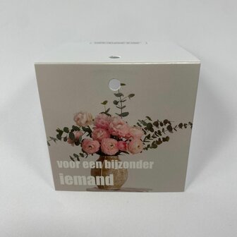 Voor een bijzonder iemand - Rome