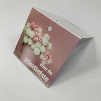 Voor de allerliefste - Rome