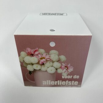 Voor de allerliefste - Rome