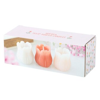 Tulp Kaarsenset (3 stuks)