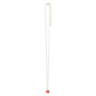 Best Teacher Appel Ketting op Kaart &ndash; Apple Picking