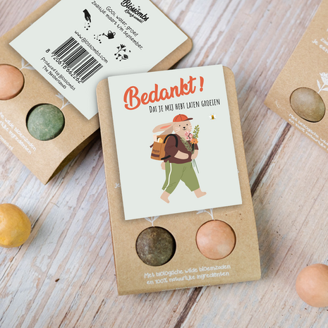 Blossombs Blister 2 – Leraar – Konijn