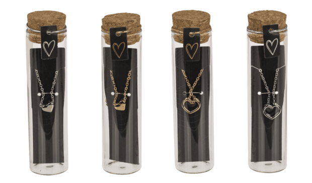 Ketting in Glazen Flesje met Kurk – 6 Stijlen in Zilver & Goud