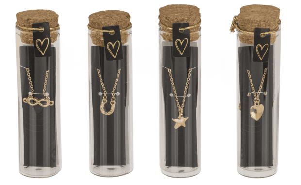 Ketting in Glazen Flesje met Kurk – 6 Stijlen in Zilver & Goud