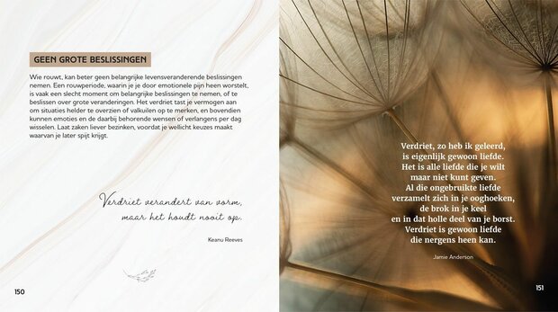 Troost – Een boek vol warmte, kracht en herinnering