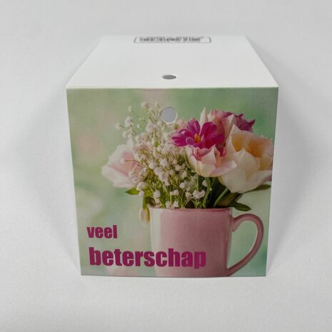 Veel Beterschap - Rome