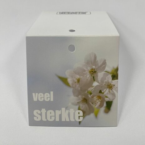 Veel sterkte - Rome
