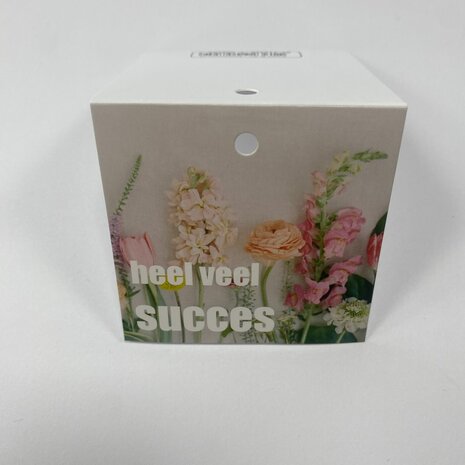 Heel veel succes - Rome