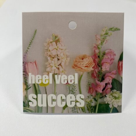 Heel veel succes - Rome