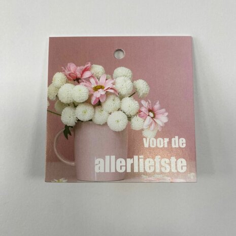 Voor de allerliefste - Rome