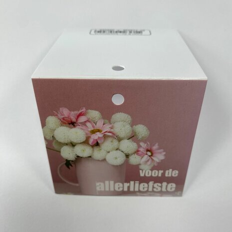 Voor de allerliefste - Rome