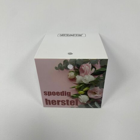 Spoedig herstel - Rome