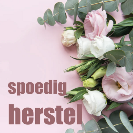 Spoedig herstel - Rome