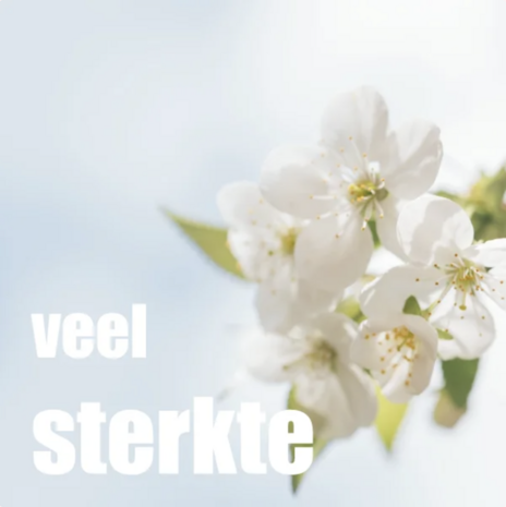 Veel sterkte - Rome