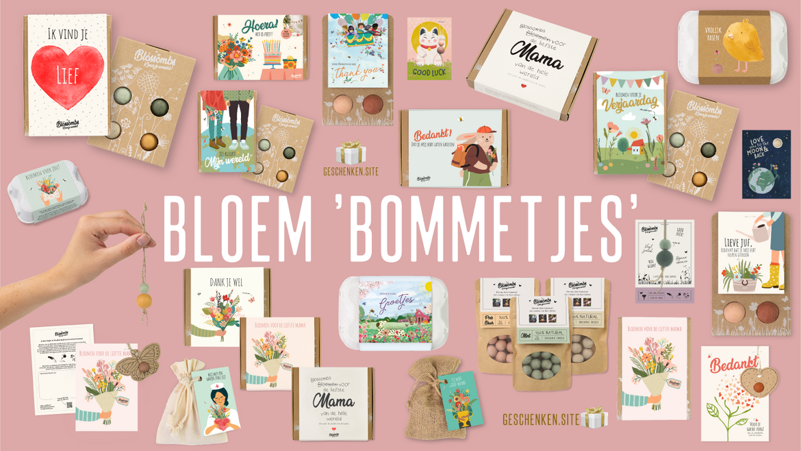 Bloem ‘Bommetjes’ Bloem-‘Bommetjes’