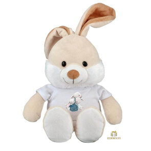 So-sweet-and-lovely (29) - Pluchen Konijn met T-Shirt - 23 cm