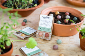 Blossombs Blister 2 – Cadeaubommetjes met 2 Blossombs